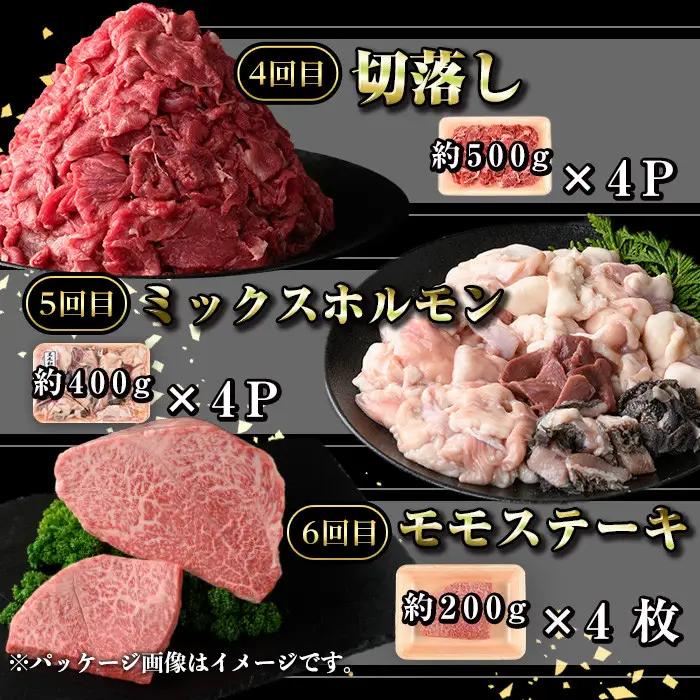 【6回定期便】鹿児島黒牛 満腹セット(全5種・合計10kg) 牛肉【新村畜産】E01009