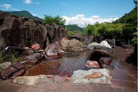 信州田沢温泉 富士屋 平日ご宿泊券(1泊2食付き・1名様分)