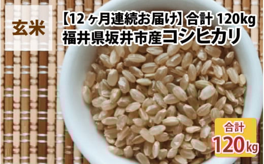 【先行予約】【令和7年産・新米】【12ヶ月連続お届け】福井県坂井市丸岡町産 コシヒカリ10kg×12回 計120kg（玄米）【2025年10月より順次発送予定】 [P-11301_02]
