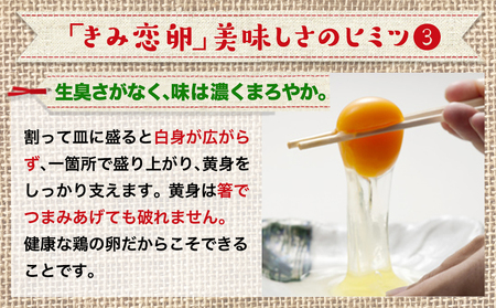 新鮮赤卵「きみ恋卵」60個_AA-2911_(都城市) 赤玉子 Mサイズ 60個 きみ恋卵 冷蔵 チルド 赤たまご 河中農園 取れたて新鮮たまご タマゴ たまご 鶏卵 お菓子作りにも最適