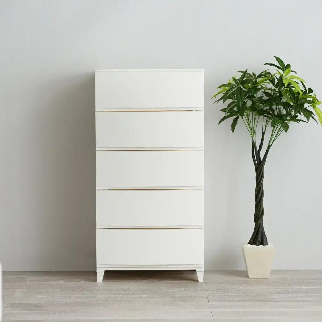 収納チェスト ルームスワイドシェード 545 幅54cm 5段 ホワイト プラスチック チェスト 新生活