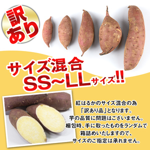 isa521 《訳あり》熟成紅はるか(約5kg・SS～LLサイズ混合) 訳あり さつまいも 紅はるか 鹿児島 生芋 完熟 長期熟成 土付き べにはるか サツマイモ 焼き芋に【いさ工房】