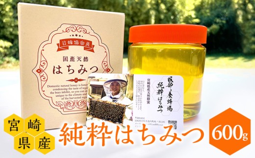 【数量限定】宮崎県産純粋はちみつ(600g×1本) 国産 宮崎県産 純粋はちみつ 国産純粋はちみつ 蜂蜜 天然はちみつ 国産ハチミツ ハニー 贈答 贈り物 贈答用 家庭用 自宅用 ギフト プレゼント 