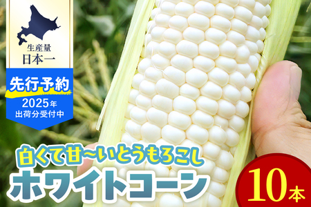 レビューキャンペーン実施中！【先行受付】【2026年8月10日～8月下旬配送】北海道十勝芽室町 とうもろこし ホワイトコーン 10本セット とうもろこし トウモロコシ 北海道 十勝 芽室町 生 野菜 人気 キャンプ飯 BBQ ソロキャン お取り寄せ me078-004c-26
