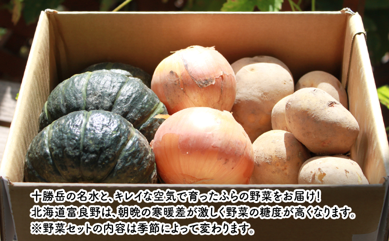 【2026年秋冬発送】富良野 野菜セット 5kg詰め 人参 かぼちゃ いも 玉ねぎ ごぼう ゆり根 米