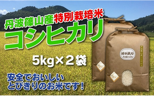 新米予約【令和8年産】お米のおいしさ伝えたい！特別栽培米コシヒカリ5kg×2