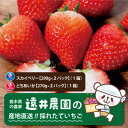 【ふるさと納税】栃木県産のいちご2種食べ比べ|スカイベリー2パック(1箱)・とちあいか2パック(1箱)【配送不可地域：離島】【1518935】