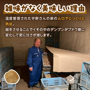 【予約:2026年2月上旬から順次発送】【選べる3サイズ】宇野さんの手拾い、手選別の越冬ジャガイモ 10kg ( 芋 野菜 選べる )【167-0004-2026】