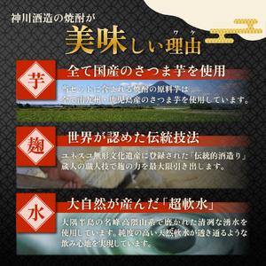【ふるなびWEEK対象】【超特急便】2212-1 鹿児島限定 芋 焼酎 飲み比べセット25度 900ml × 6本 神川酒造 鹿児島県 鹿屋市産 三浦屋 オリジナル KN083-002-01-cpf 