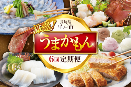 サーロインステーキ とんかつ ヒラメ ウチワエビ ジェラート ヤリイカ 平戸うまかもん 6回 定期便 [平戸瀬戸市場 長崎県 平戸市 hr42bgy420483]