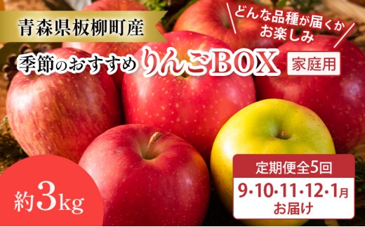 
                  【定期購入5回】【どんな品種が届くかお楽しみ】季節のおすすめりんごBOX/家庭用/詰め合わせ/9月・10月・11月・12月・1月/約3kg　青森県　りんご　リンゴ　林檎　フルーツ　くだもの　果物
                