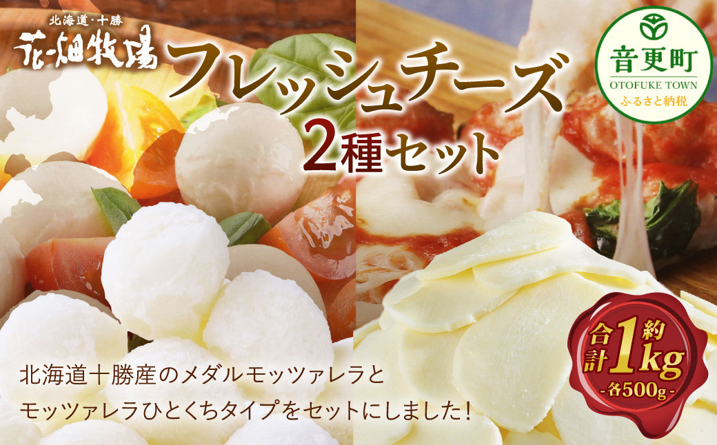 
                  花畑牧場 フレッシュチーズ2種セット（メダルモッツァレラ 約500g＋モッツァレラひとくちタイプ 約500g）【A91】モッツァレラチーズ チーズ モッツァレラ  乳製品 おつまみ 十勝 冷凍 北海道 音更町
                