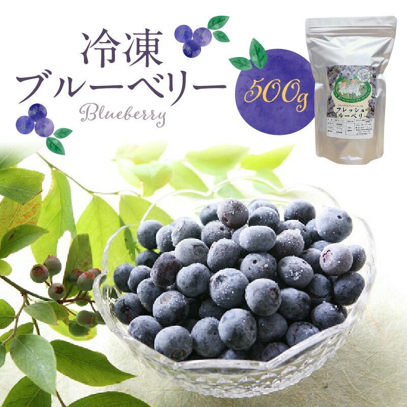 【ふるさと納税】ブルーベリー 冷凍 500g 1パック 福岡県産 果物 フルーツ 冷凍フルーツ デザート おやつ 冷凍食品 食品 お取り寄せ お取り寄せフルーツ 美味しい 九州 国産 トッピング アレンジ ヨーグルト シャーベット アイスクリーム スムージー 久留米市 送料無料