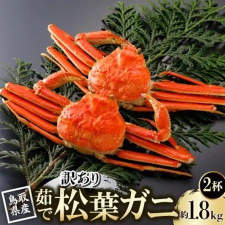 【先行予約】鳥取県産 訳あり 茹 松葉がに 900g×2杯(中村商店)2027年1月末より順次発送【配送不可地域：離島・北海道・沖縄県・東北・信越、北陸】【1692933】