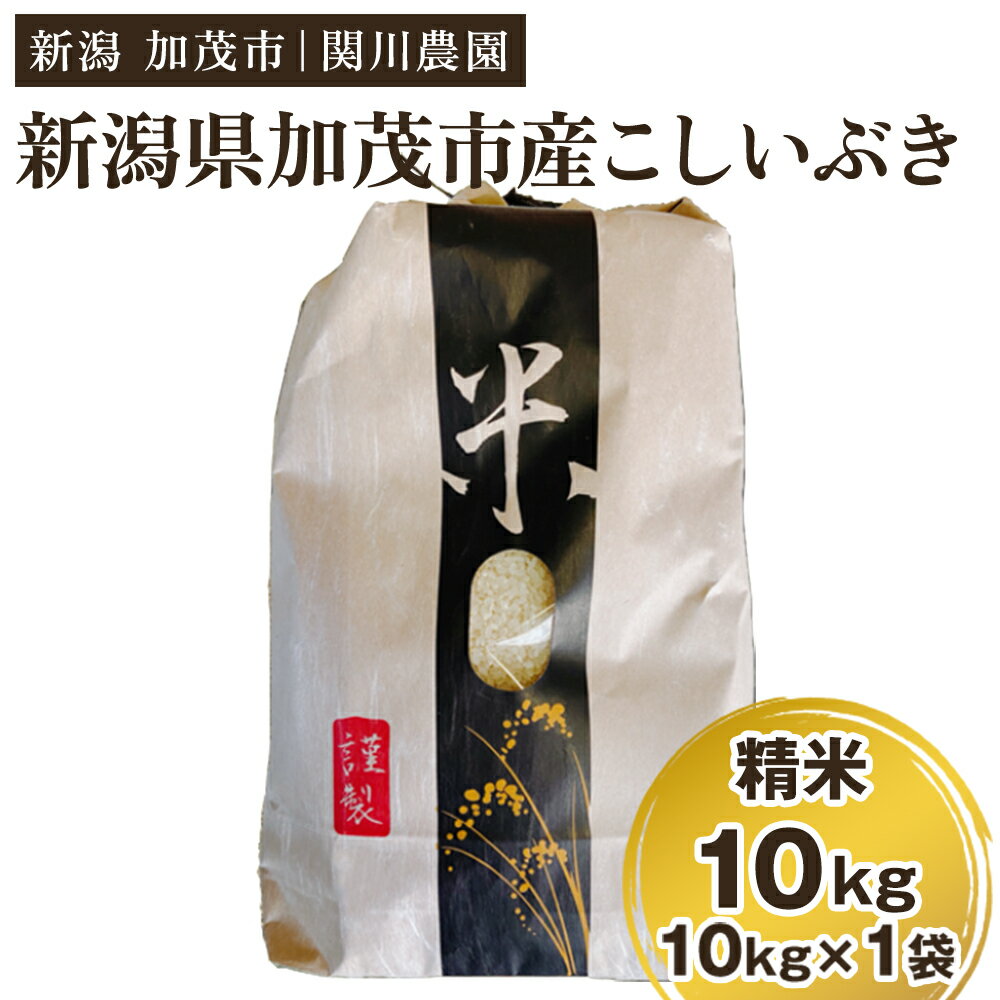 【ふるさと納税】【令和8年産新米先行予約】加茂市産こしいぶき 精米10kg（10kg×1袋）《9月中旬から順次出荷》 コシイブキ 新潟産 米 お米 白米 加茂市 関川農園