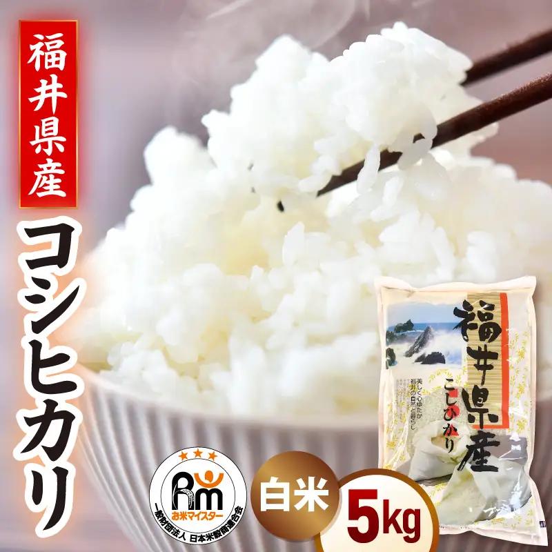 令和7年産  5kg 精米 コシヒカリ 福井県産《14日以内に出荷予定》 [e66-a015]