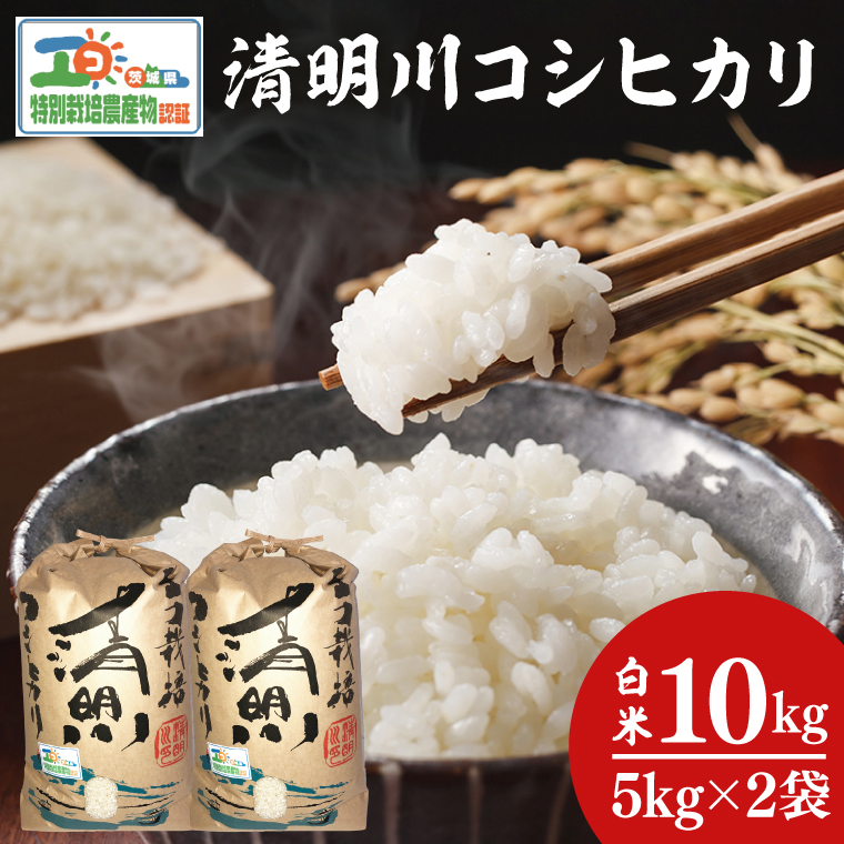 令和7年産茨城県特別栽培認証 清明川コシヒカリ白米5kg×2袋　米 おこめ こしひかり  特別栽培米 農家直送 直送 茨城県 阿見町（04-02-1）