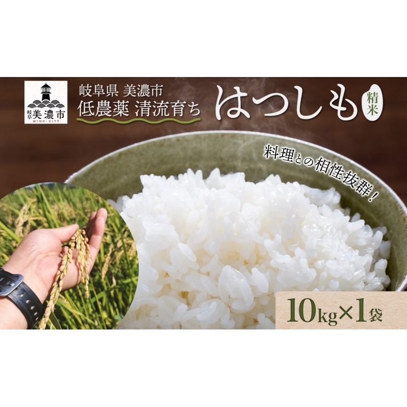 ＜先行予約＞令和8年産 はつしも 精米 10kg×1袋 低農薬 清流育ち 新米 お米 白米 米 ごはん 米 ご飯 ハツシモ R8年産 あっさり ふっくら ブランド米 大粒 幻の米 お取り寄せ 産地直送