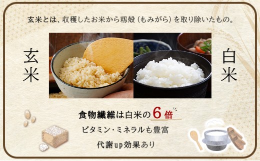 【玄米】《令和8年産》お米 ゆめぴりか玄米 15kg (5kg×3袋)｜米 北海道 岩見沢市 ファーム坂口の特別栽培米