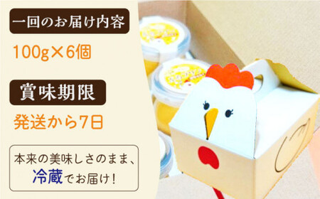 【全6回定期便】【卵が濃い！】たまごやさんのぷるプリン （濃厚仕立て） 6個入/回【ぷるたま工房】 [QBB003] [QBB003]