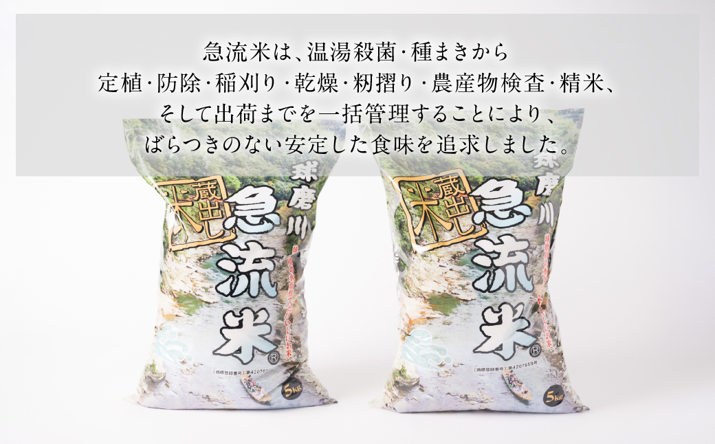 《令和7年産》熊本県八代市産 球磨川急流米 ヒノヒカリ 10kg 国産 白米 精米 お米 コメ 米 ライス ご飯 ごはん 白飯