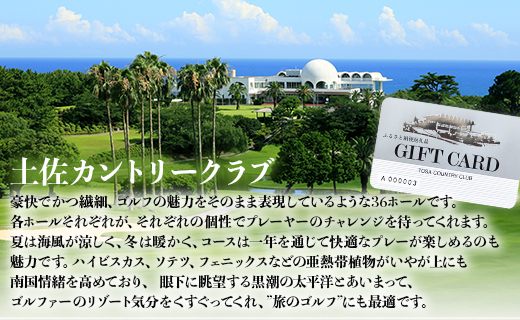 土佐カントリークラブ プレー券 15,000円分 - ゴルフ場 チケット プレー券 ラウンド コース 15000円 趣味 体験 スポーツ アウトドア 手結山開発観光株式会社 高知県 香南市 kb-00