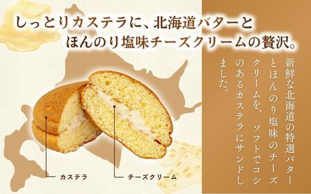 カステラ ケンキ 10個 | カステラ お菓子