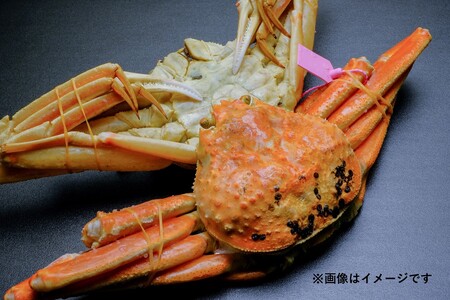 【蟹の匠 魚政】ボイル済み 急速冷凍 茹でズワイガニ 800g級 （茹で上げ後700g） 1匹