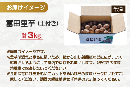 【先行予約】希少！とみた里芋 3kg ねっとりまろやか煮崩れなし！【11月～年内出荷】 
