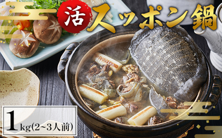 【4月お届け】綾部で育てた！！スッポン鍋 1kg  （2～3人前） すっぽん 鍋