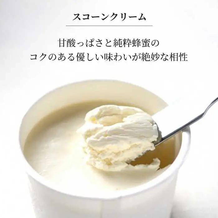 【3回定期便】 famfam リッチハニースコーンセット(クリーム付き) 多治見市 / famfam[TAK020]