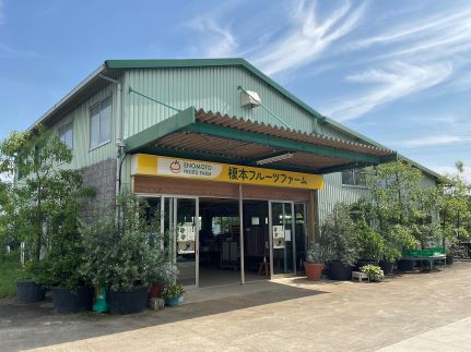 ヘイワード　特選キウイ　10玉　【11246-0166】