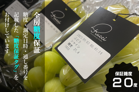 【糖度20度保証付】シャインマスカット 約1.1kg 2～3房 FN-Limited 104-041-FN | 【数量超限定】旬の美味しいフルーツだけをお届けします【ルッチ Rucci】産地直送 山梨