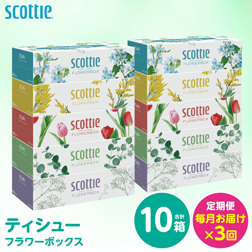 【ふるさと納税】【定期便3回】【毎月お届け】【スコッティ】 ティシュー フラワーボックス 250組 10箱 計30箱 ティッシュ 日用品 生活必需品 消耗品 紙 まとめ買い 備蓄 防災備蓄 デザインボックス ストック 新生活 防災 生活用品 日用消耗品 箱ティッシュ 送料無料