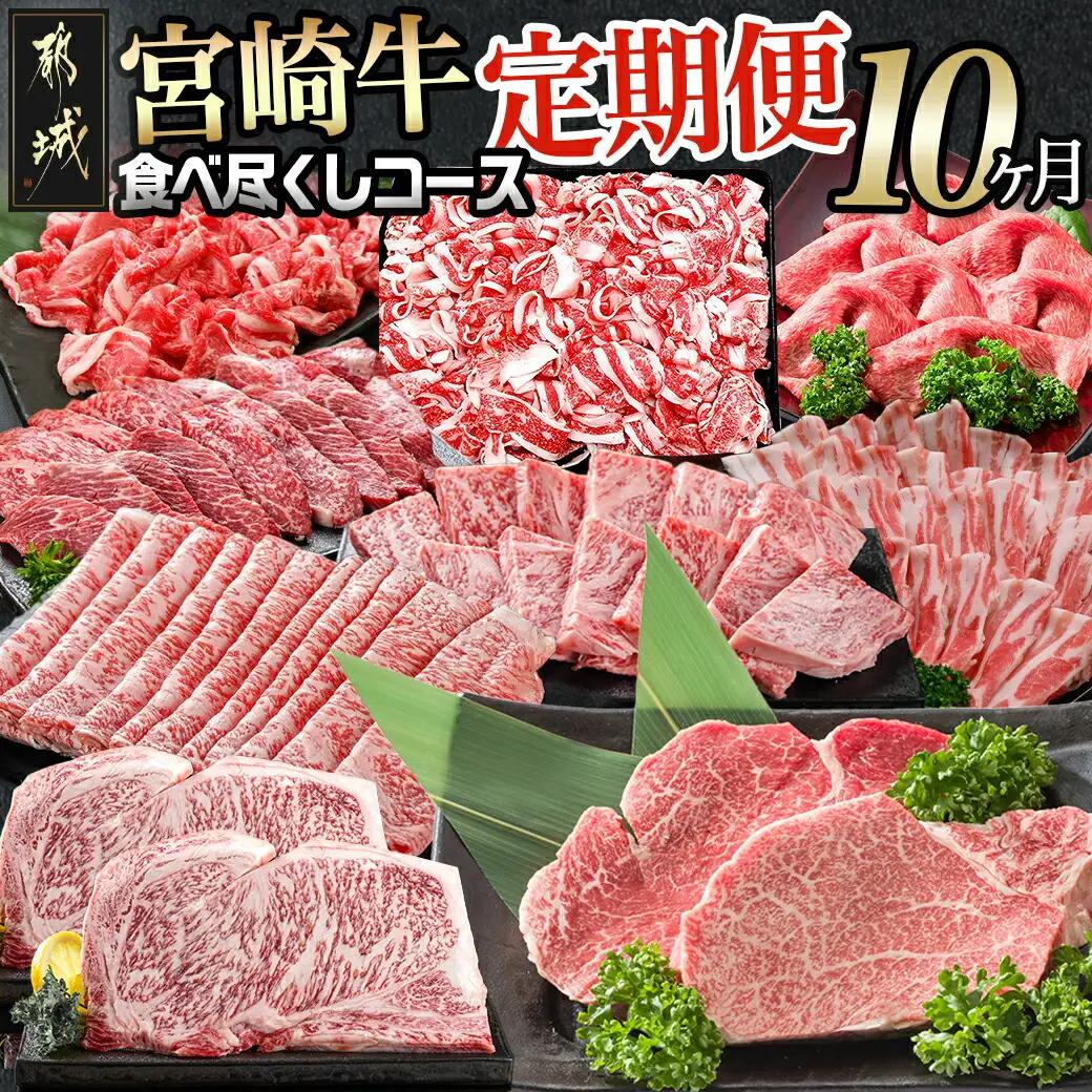 牛肉 宮崎牛 食べ尽くし10ヶ月定期便 牛肉〔T120（10）-0101〕