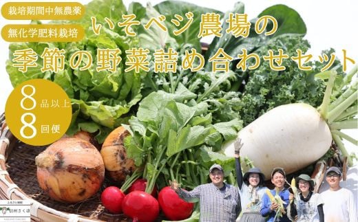 
いそベジ農場の季節の野菜詰め合わせセット　定期便　８回便〔IV-08〕
