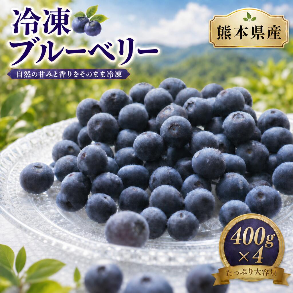 【ふるさと納税】冷凍ブルーベリー 計1.6kg（400g×4個） ブルーベリー フルーツ くだもの 果物 果実 デザート 冷凍 熊本県産 国産 九州 熊本県 送料無料