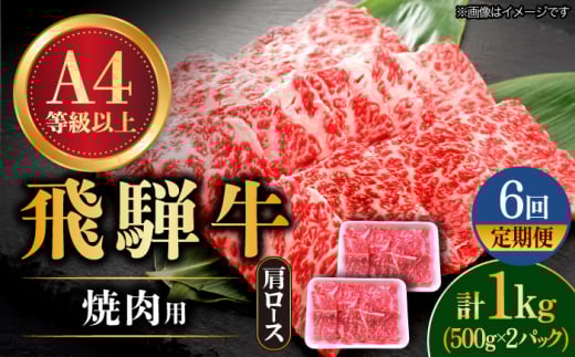 【6回定期便】 飛騨牛 焼肉用 ロース・肩ロース 1kg A4等級以上 和牛 ブランド牛 国産 牛肉 多治見市 / 渡辺精肉店 [TAZ036]