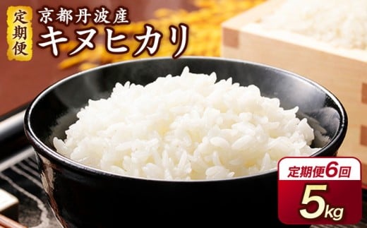 【3月発送】【期間限定 生活応援】【定期便】令和7年産 5kg 6ヶ月 京都丹波産 キヌヒカリ 白米＜JA京都 たわわ朝霧＞ 6回定期便 5kg×6回 計30kg 毎月発送に合わせて精米【3/31迄 寄附額改定】