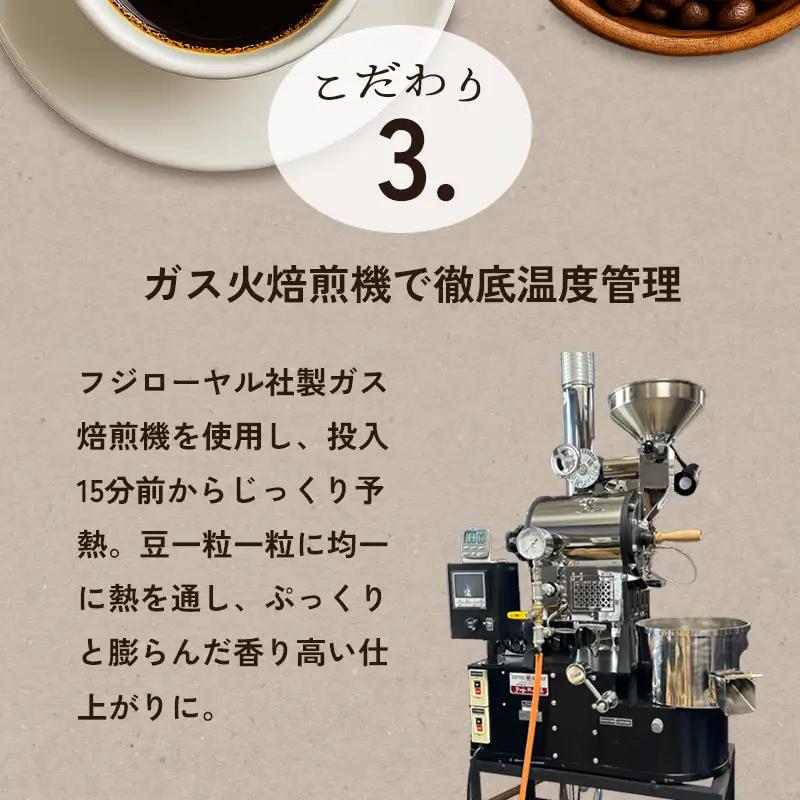 自家焙煎珈琲 ドリップコーヒー 10個
