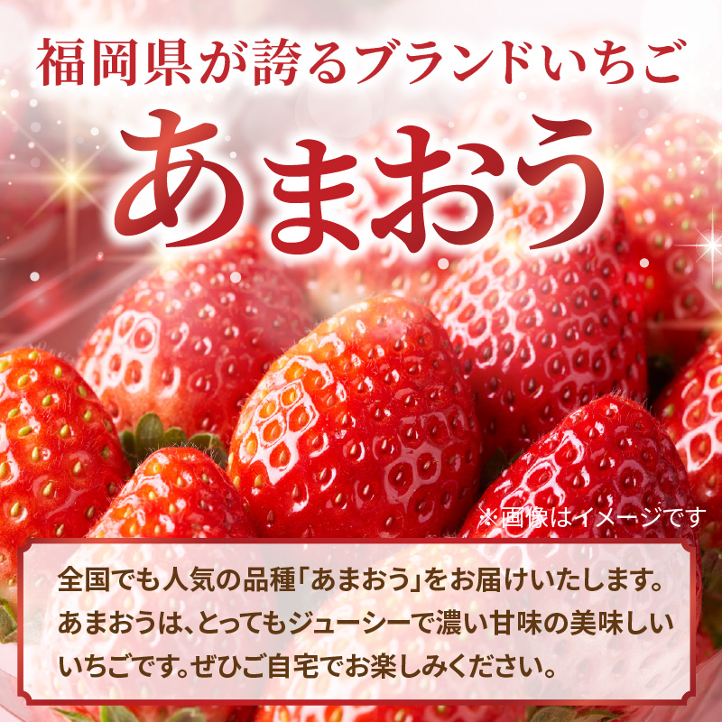 【2027年3月配送開始】福岡・博多名物ブランドいちご「あまおう」2パック 合計約500g ＜配送不可：北海道・沖縄・離島＞ あまおう いちご 苺 イチゴ フルーツ 果物 くだもの 人気 旬 福岡県産