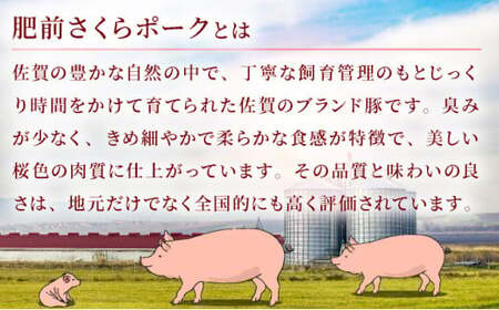 【順次発送】12個セット 無添加・手作り!  肥前さくらポーク 豚ロールステーキ　B-1061