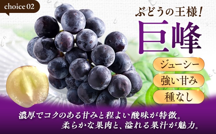ピオーネ 種無し ぶどう ブドウ 葡萄 果物