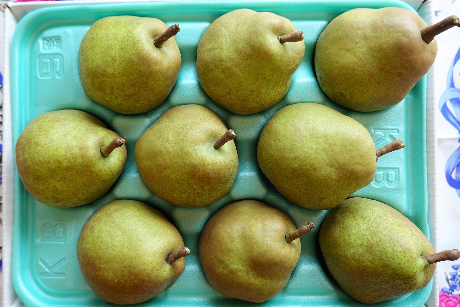 
                  西洋梨（ラ・フランス）３ｋｇ　ご家庭用　0025-2616
                