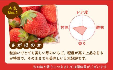 【先行予約】食べ比べ！恋みのり＆さがほのか 各220g 詰め合わせ セット【鐘ヶ江農園】いちご [IBH007]