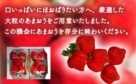 【先行予約】厳選大粒あまおう(4パック)※2024年2月上旬から4月上旬にかけて順次出荷予定　MY009