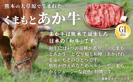 【定期便6ヶ月】【特選すき焼き用500g】くまもとあか牛〈GI認証〉- お肉 牛肉 和牛 スライス 国産 九州産 熊本県産