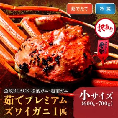 ふるさと納税 京丹後市 【訳あり　魚屋から】茹で プレミアムズワイガニ 魚政BLACK 小サイズ1匹(2026年1月〜発送)
