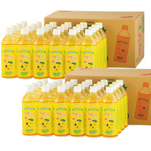 ＜定期便・全3回(連続)＞ゆずだもん。ウォーター(500ml×48本、ペットボトル) 定期便 ゆず ウォーター【株式会社財宝】T13