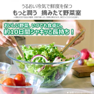 ふるさと納税 川崎市 東芝　冷蔵庫【標準設置費込み】　643L　6ドア　両開き　冷凍冷蔵庫　GR-Y640XFS(XK) |  | 01